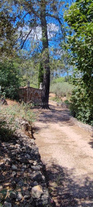 Propriété - 215 m² - 4 pièces