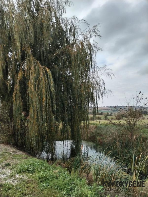 Ferme - 370 m² - 15 pièces