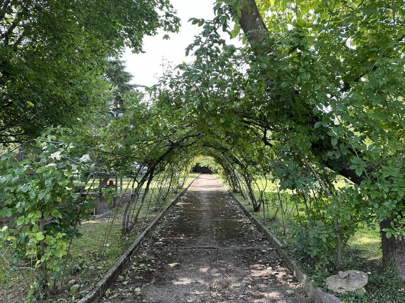 Maison - 240 m² - 10 pièces