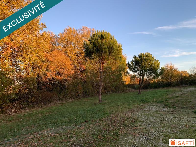 Terrain - 24 151 m²