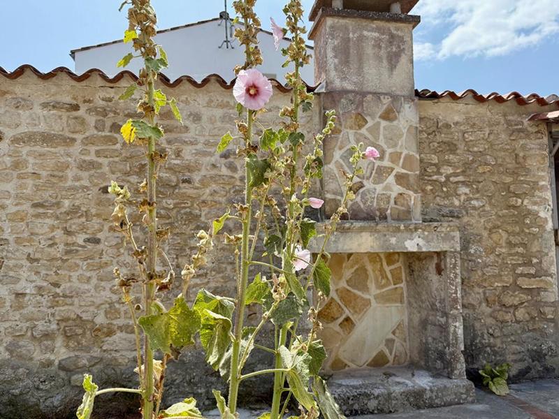 Maison - 121 m² - 5 pièces