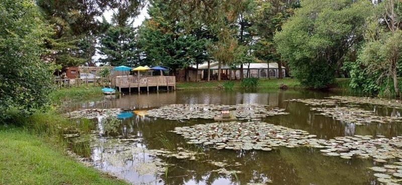 Terrain de loisirs - 12 870 m²