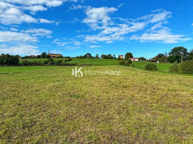 Terrain constructible - 8 000 m²