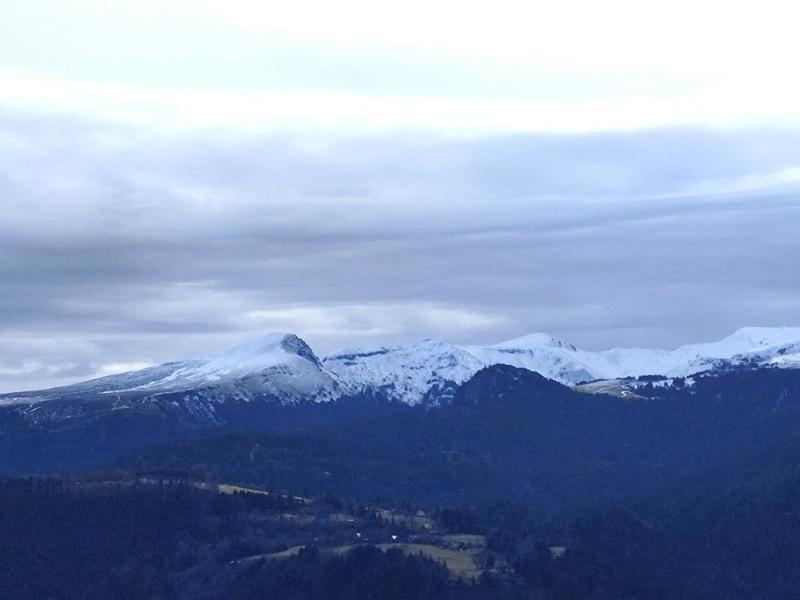 Duplex - 40 m² - 2 pièces