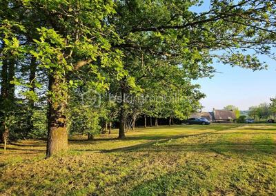 Maison en pierre - 157 m² - 7 pièces