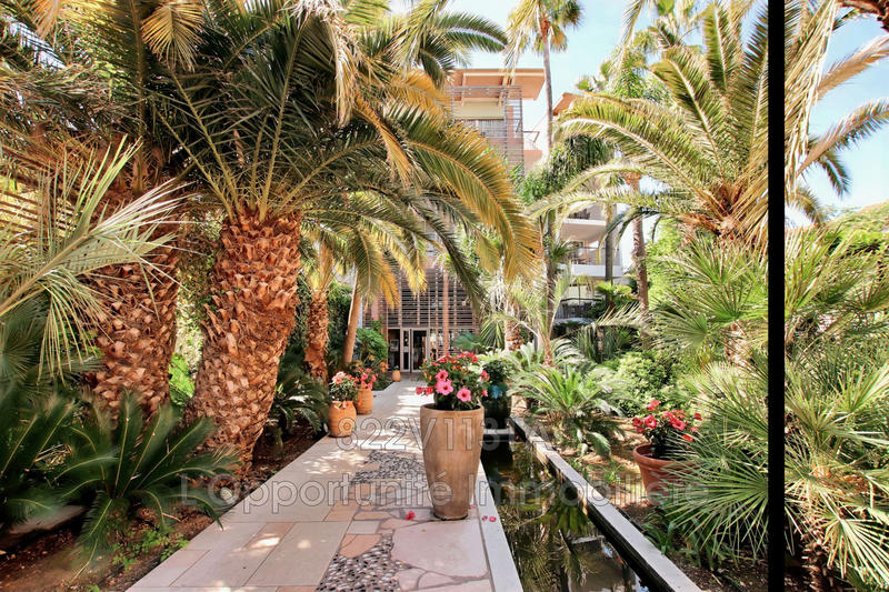 Appartement - 50 m² - 3 pièces