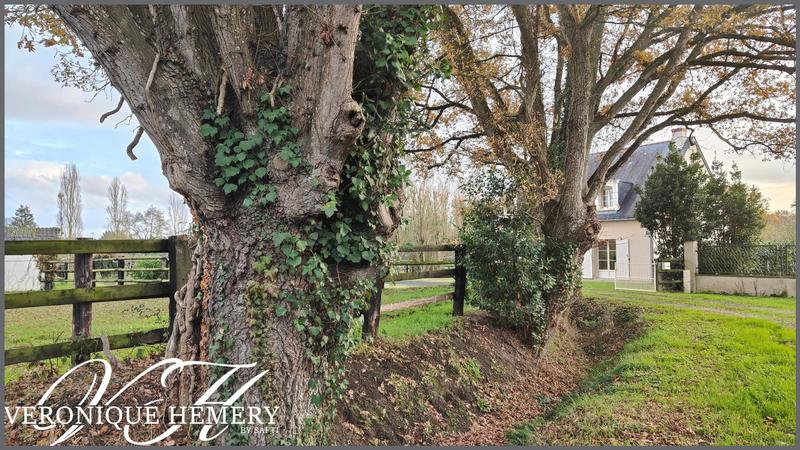 Maison - 155 m² - 7 pièces