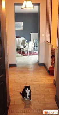 Maison - 254 m² - 9 pièces