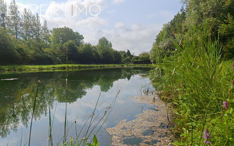 Local commercial - 12 600 m²