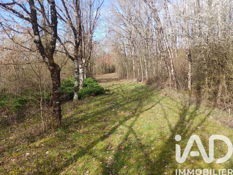 Terrain - 32 204 m²