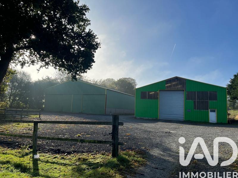 Maison de campagne - 166 m² - 5 pièces