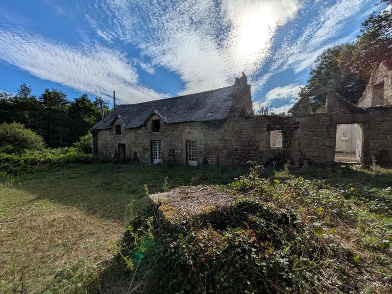 Longère - 430 m² - 12 pièces