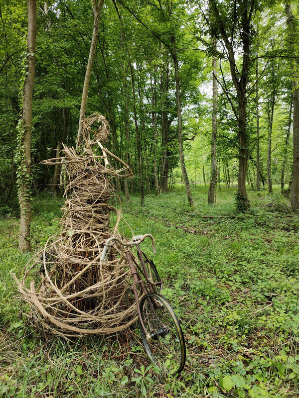 Balade contée - l'écho de la forêt