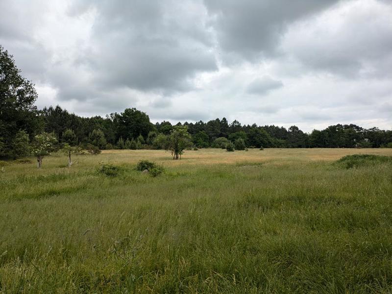 Maison - 190 m² - 5 pièces