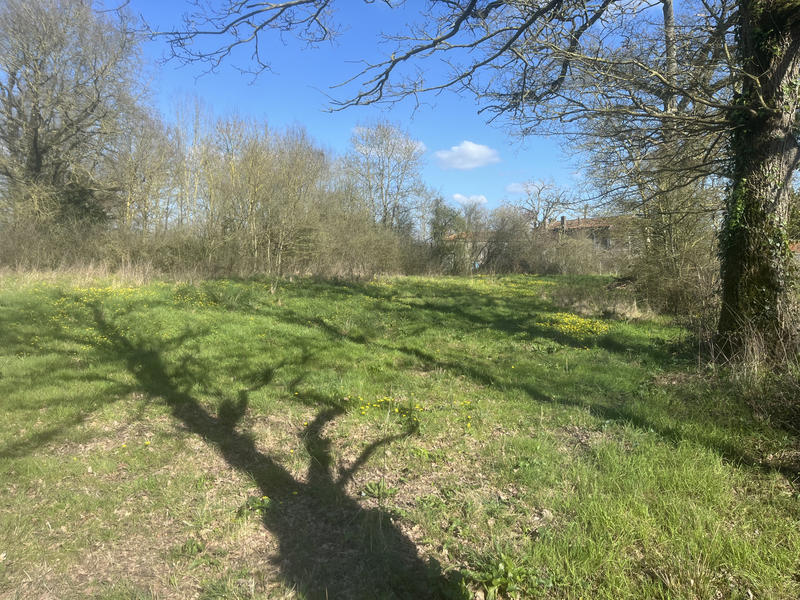 Terrain agricole - 1 097 m²