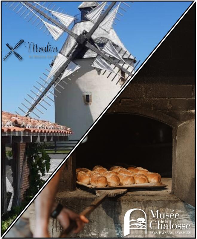 Au four et au moulin