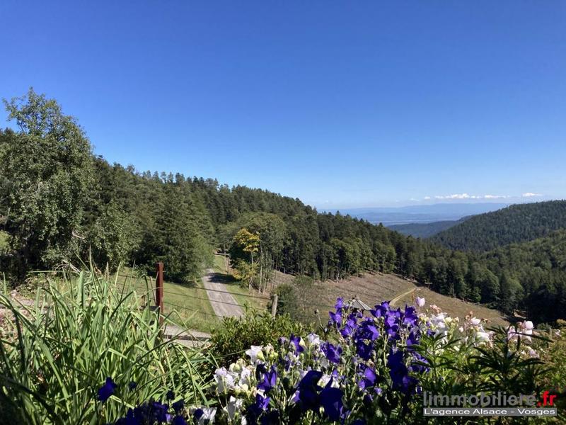 Duplex - 80 m² - 4 pièces