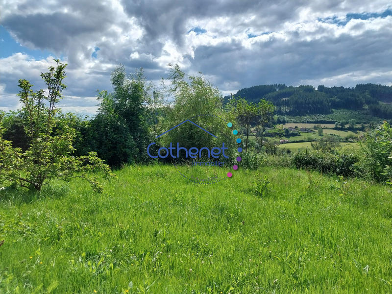 Maison ancienne - 200 m² - 8 pièces