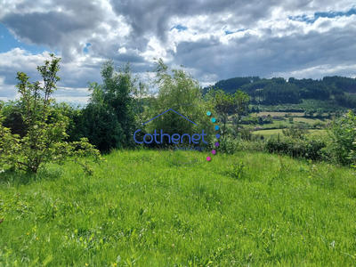 Maison ancienne - 200 m² - 8 pièces