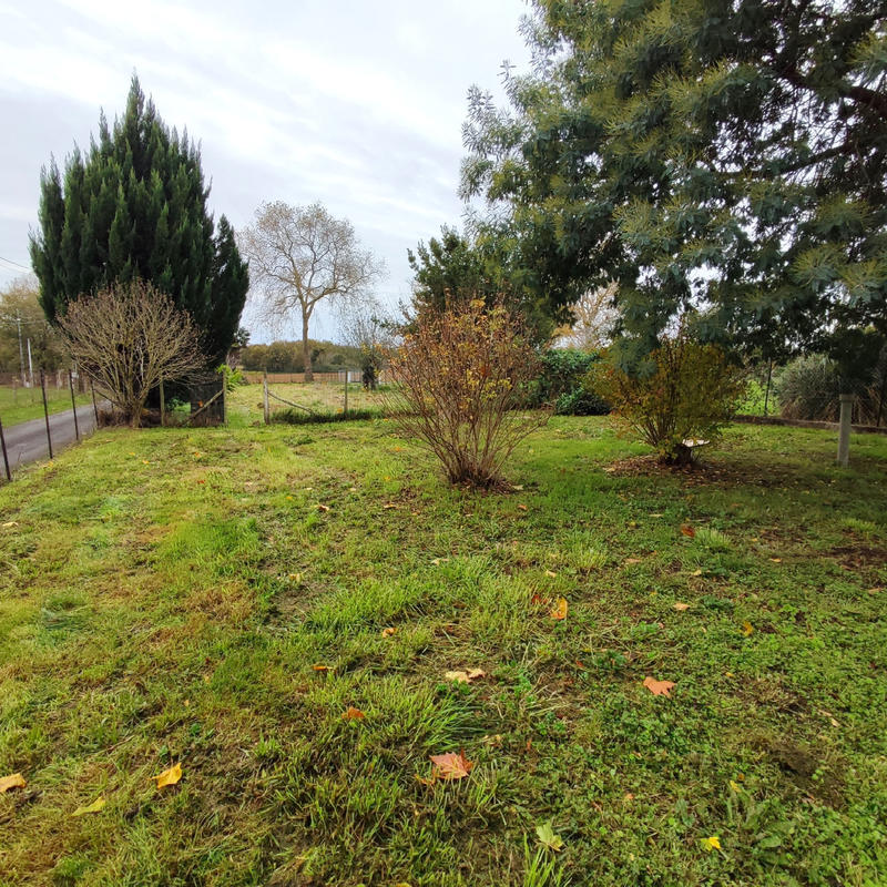 Maison - 142 m² - 5 pièces