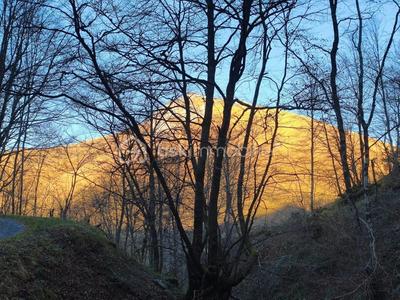 Maison chambre d'hôtes - 85 m² - 4 pièces