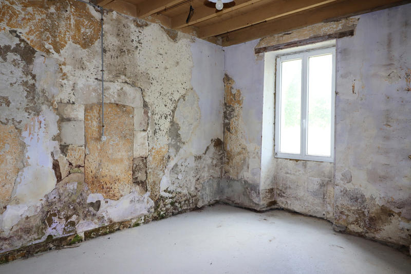 Maison - 300 m² - 12 pièces