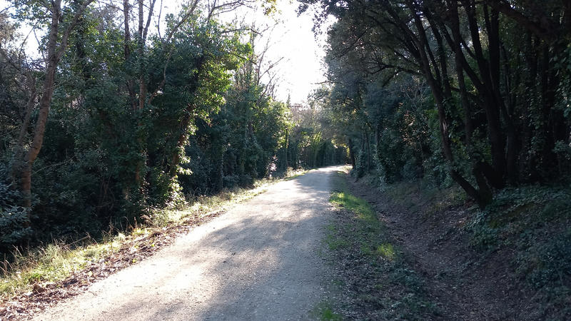 Terrain de loisirs - 31 439 m²