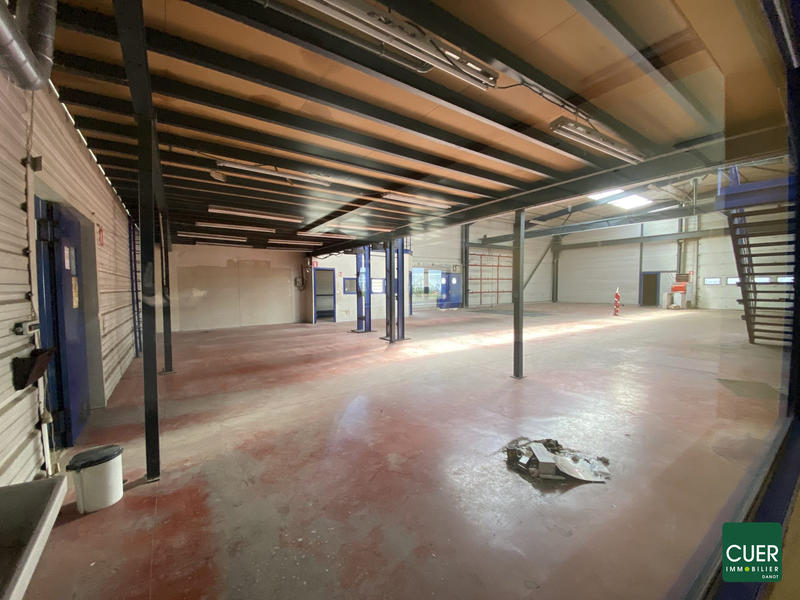 Local d'activités - 980 m²