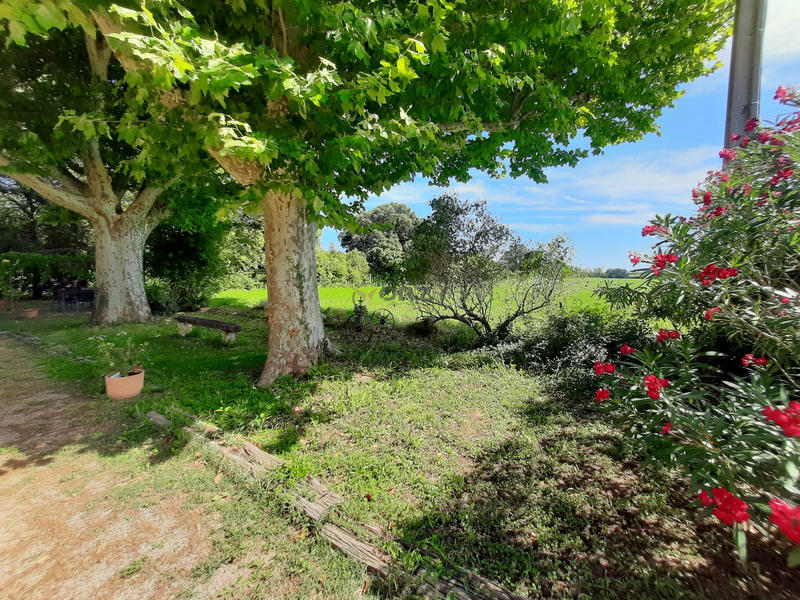 Mas - 270 m² - 7 pièces