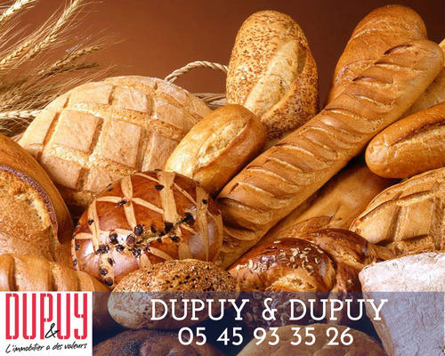 Fonds de commerce - 400 m²