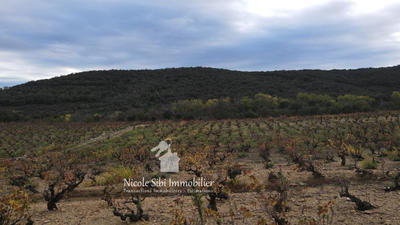 Terrain agricole - 29 300 m²