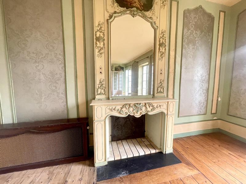 Hôtel particulier - 471 m² - 14 pièces