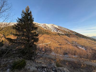 Terrain - 20 000 m²