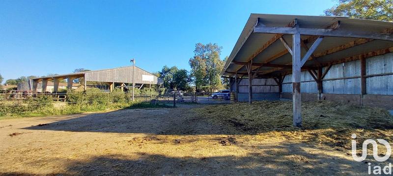 Maison - 105 m² - 4 pièces