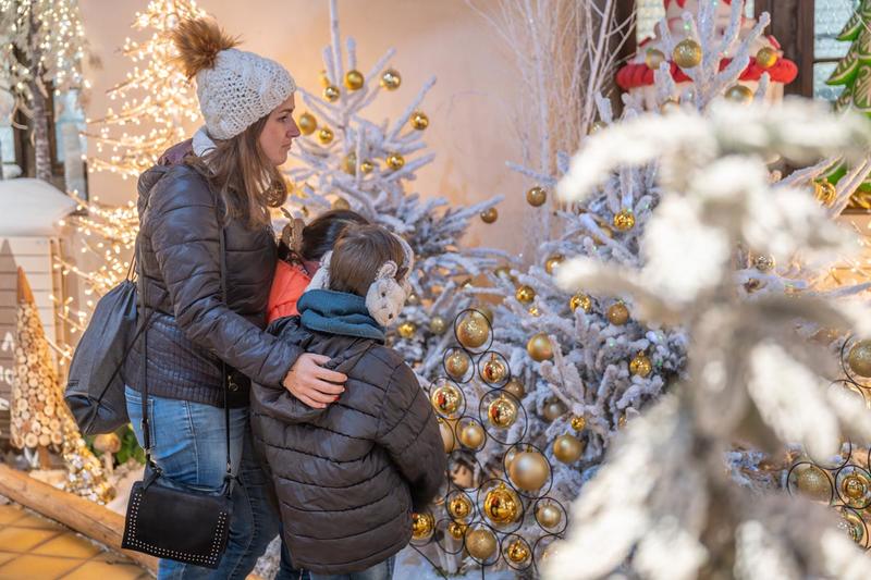 Exposition : sous les étoiles