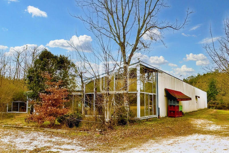 Immeuble - 1 750 m² - 12 pièces