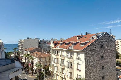 Appartement - 77 m² - 3 pièces