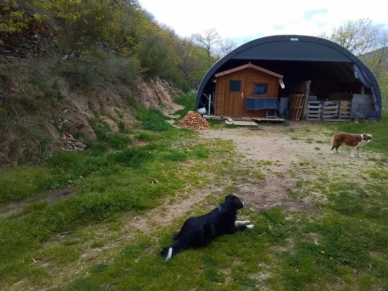 Terrain agricole - 12 330 m²