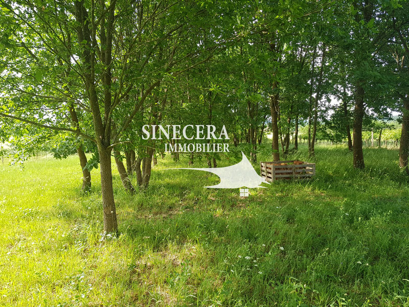 Maison - 205 m² - 6 pièces