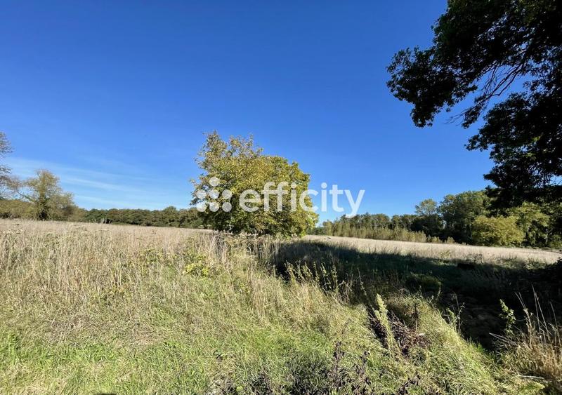 Maison - 272 m² - 12 pièces