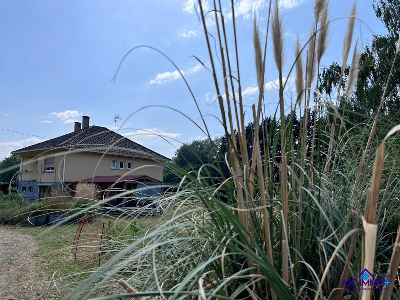 Maison traditionnelle - 208 m² - 7 pièces