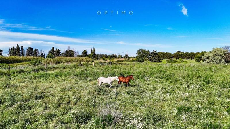 Terrain de loisirs - 28 576 m²