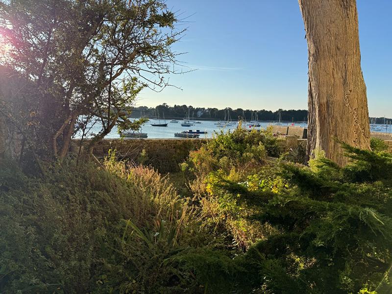 Appartement - 41 m² - 1 pièce