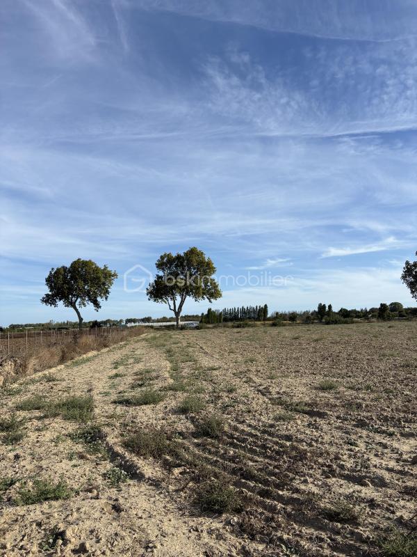 Terrain agricole - 15 000 m²