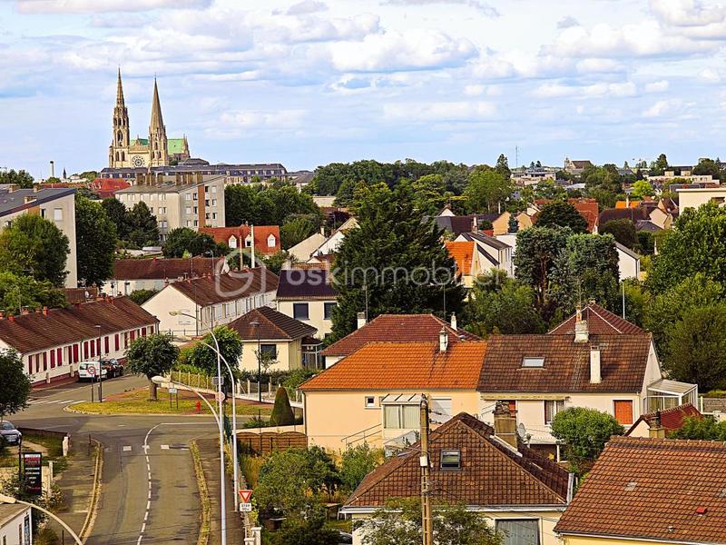 Loft - 80 m² - 4 pièces