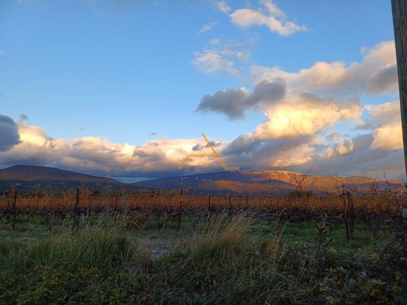 Maison en pierre - 273 m² - 7 pièces