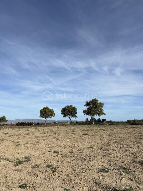 Terrain agricole - 15 000 m²