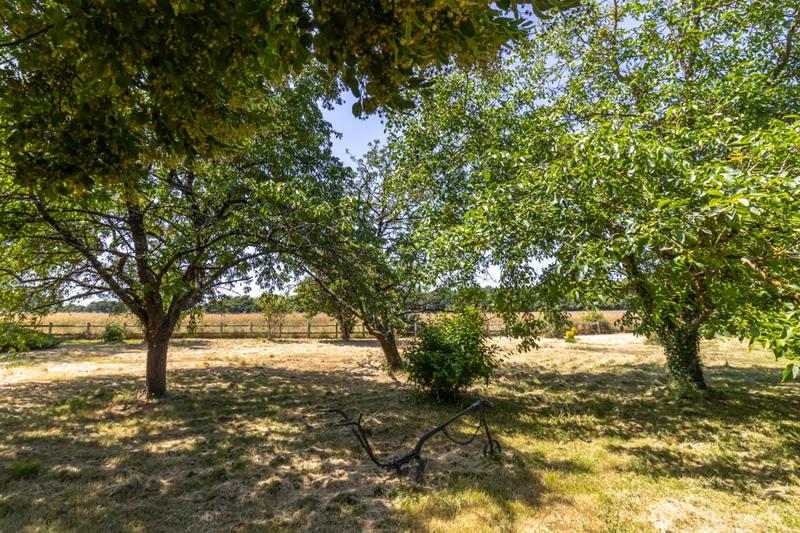 Maison - 148 m² - 5 pièces