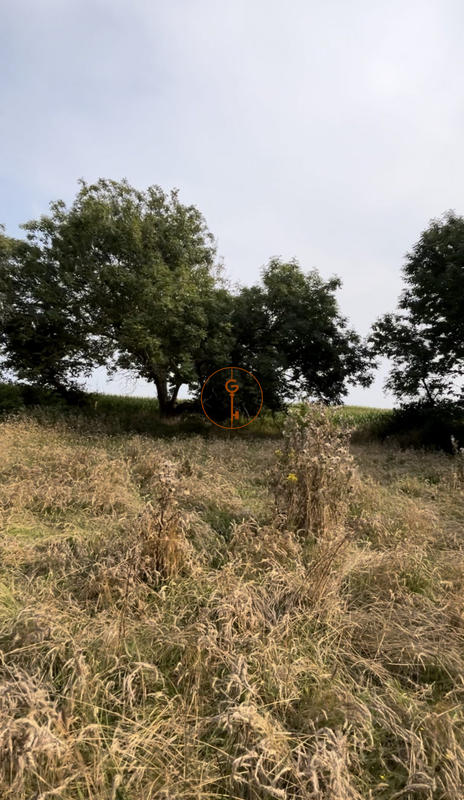 Maison ancienne - 246 m² - 9 pièces