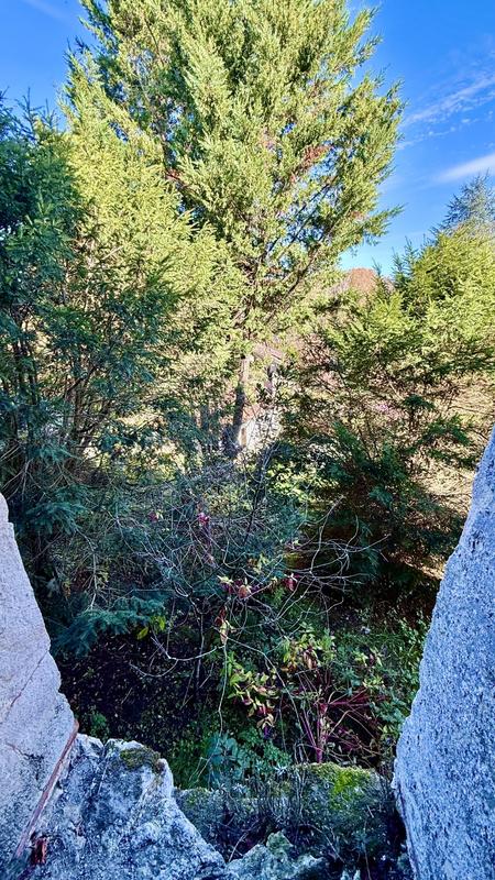 Maison - 133 m² - 5 pièces